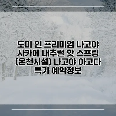 도미 인 프리미엄 나고야 사카에 내추럴 핫 스프링 (온천시설) 나고야 아고다 특가 예약정보