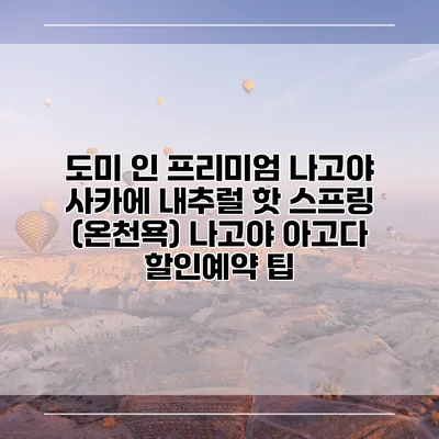 도미 인 프리미엄 나고야 사카에 내추럴 핫 스프링 (온천욕) 나고야 아고다 할인예약 팁