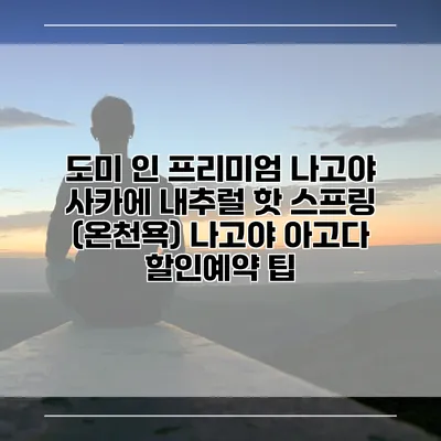 도미 인 프리미엄 나고야 사카에 내추럴 핫 스프링 (온천욕) 나고야 아고다 할인예약 팁