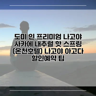도미 인 프리미엄 나고야 사카에 내추럴 핫 스프링 (온천호텔) 나고야 아고다 할인예약 팁
