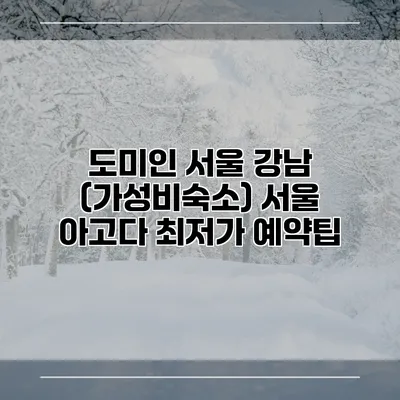 도미인 서울 강남 (가성비숙소) 서울 아고다 최저가 예약팁