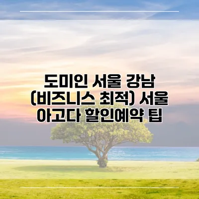 도미인 서울 강남 (비즈니스 최적) 서울 아고다 할인예약 팁