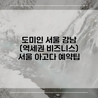 도미인 서울 강남 (역세권 비즈니스) 서울 아고다 예약팁