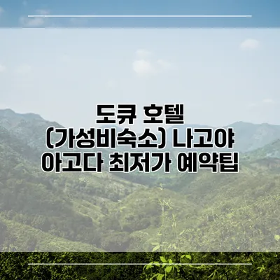도큐 호텔 (가성비숙소) 나고야 아고다 최저가 예약팁