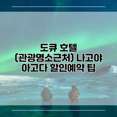 도큐 호텔 (관광명소근처) 나고야 아고다 할인예약 팁