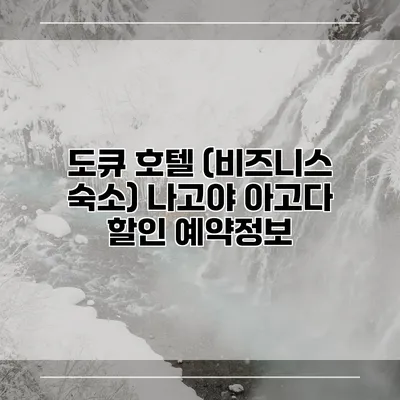도큐 호텔 (비즈니스 숙소) 나고야 아고다 할인 예약정보