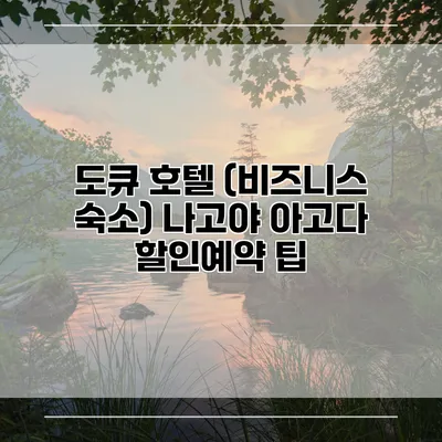 도큐 호텔 (비즈니스 숙소) 나고야 아고다 할인예약 팁