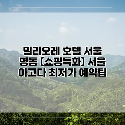 밀리오레 호텔 서울 명동 (쇼핑특화) 서울 아고다 최저가 예약팁