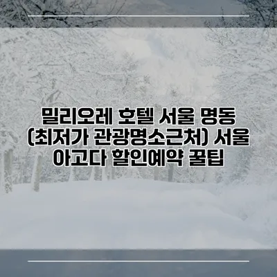 밀리오레 호텔 서울 명동 (최저가 관광명소근처) 서울 아고다 할인예약 꿀팁