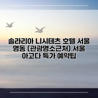 솔라리아 니시테츠 호텔 서울 명동 (관광명소근처) 서울 아고다 특가 예약팁