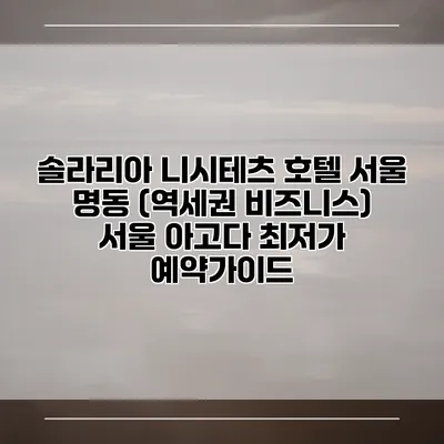솔라리아 니시테츠 호텔 서울 명동 (역세권 비즈니스) 서울 아고다 최저가 예약가이드