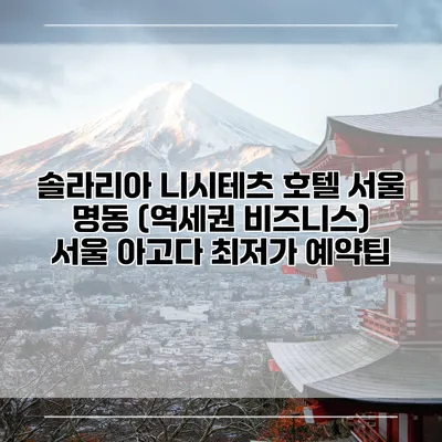 솔라리아 니시테츠 호텔 서울 명동 (역세권 비즈니스) 서울 아고다 최저가 예약팁