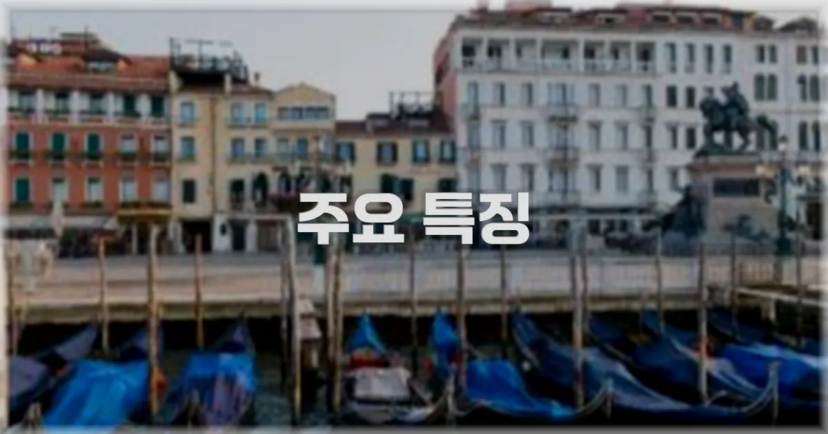 ✨ 주요 특징