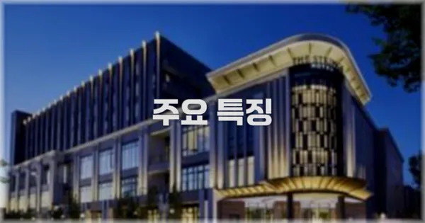 ✨ 주요 특징