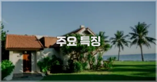 ✨ 주요 특징
