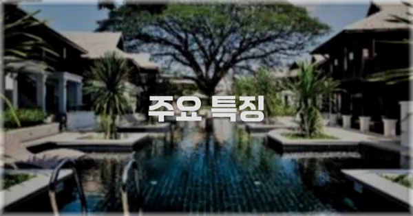 ✨ 주요 특징