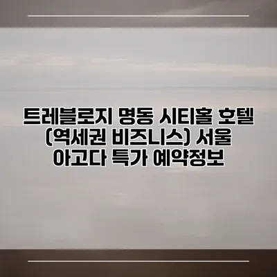 트레블로지 명동 시티홀 호텔 (역세권 비즈니스) 서울 아고다 특가 예약정보