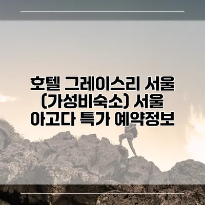 호텔 그레이스리 서울 (가성비숙소) 서울 아고다 특가 예약정보