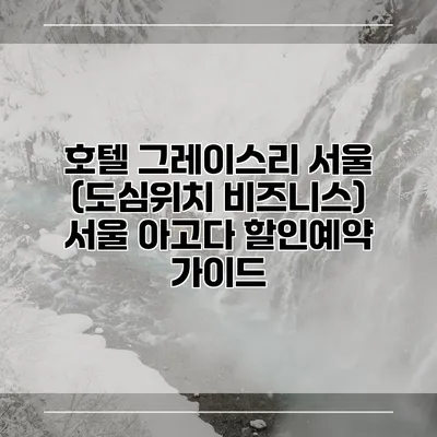 호텔 그레이스리 서울 (도심위치 비즈니스) 서울 아고다 할인예약 가이드