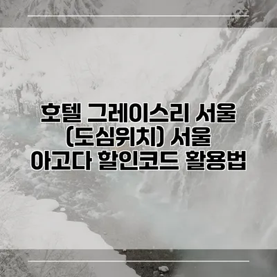 호텔 그레이스리 서울 (도심위치) 서울 아고다 할인코드 활용법