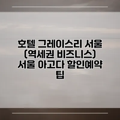 호텔 그레이스리 서울 (역세권 비즈니스) 서울 아고다 할인예약 팁
