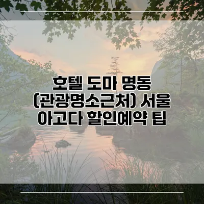 호텔 도마 명동 (관광명소근처) 서울 아고다 할인예약 팁