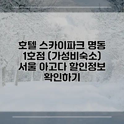 호텔 스카이파크 명동 1호점 (가성비숙소) 서울 아고다 할인정보 확인하기