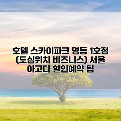 호텔 스카이파크 명동 1호점 (도심위치 비즈니스) 서울 아고다 할인예약 팁