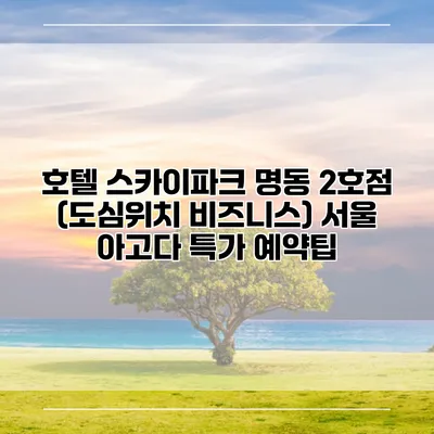 호텔 스카이파크 명동 2호점 (도심위치 비즈니스) 서울 아고다 특가 예약팁