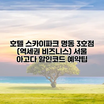 호텔 스카이파크 명동 3호점 (역세권 비즈니스) 서울 아고다 할인코드 예약팁