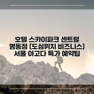 호텔 스카이파크 센트럴 명동점 (도심위치 비즈니스) 서울 아고다 특가 예약팁