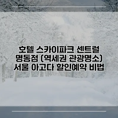 호텔 스카이파크 센트럴 명동점 (역세권 관광명소) 서울 아고다 할인예약 비법