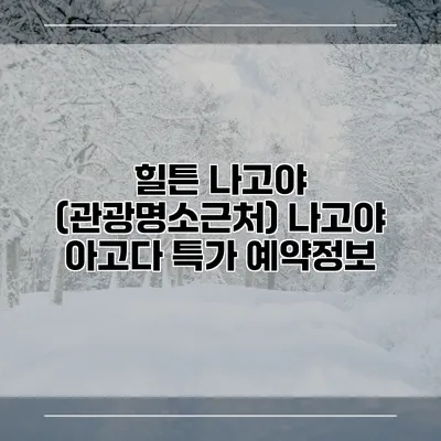 힐튼 나고야 (관광명소근처) 나고야 아고다 특가 예약정보