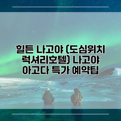 힐튼 나고야 (도심위치 럭셔리호텔) 나고야 아고다 특가 예약팁