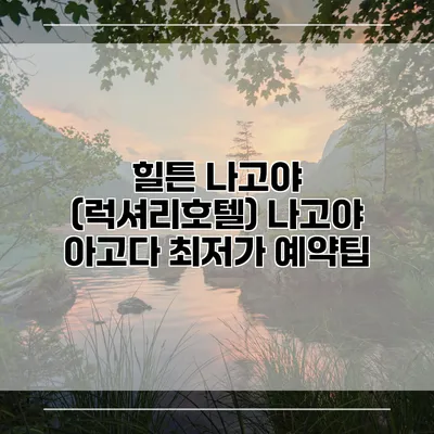 힐튼 나고야 (럭셔리호텔) 나고야 아고다 최저가 예약팁