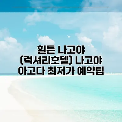 힐튼 나고야 (럭셔리호텔) 나고야 아고다 최저가 예약팁