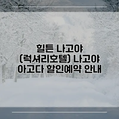 힐튼 나고야 (럭셔리호텔) 나고야 아고다 할인예약 안내
