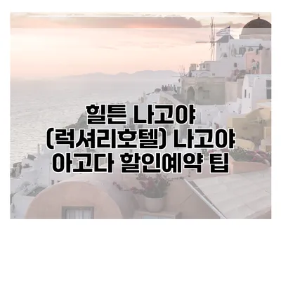 힐튼 나고야 (럭셔리호텔) 나고야 아고다 할인예약 팁